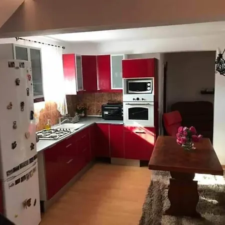 Vila Omi Case de vacanță Costineşti
