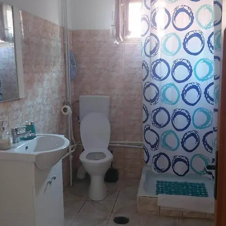 Case de vacanță Vila Omi *